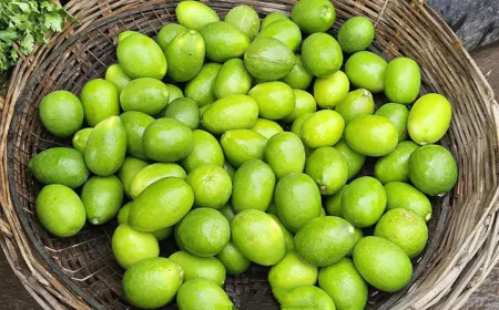 ৫ টাকার লেবু এখন ২০ থেকে ২৫ টাকায় মিলছে