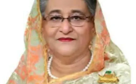 শেখ হাসিনার দেশে ফেরা নিয়ে চায়ের দোকানে বিতর্ক,  বিএনপি কর্মী গু’লি’বি’দ্ধ